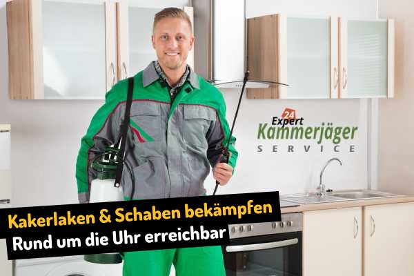 Schaben beseitigen in Grimma