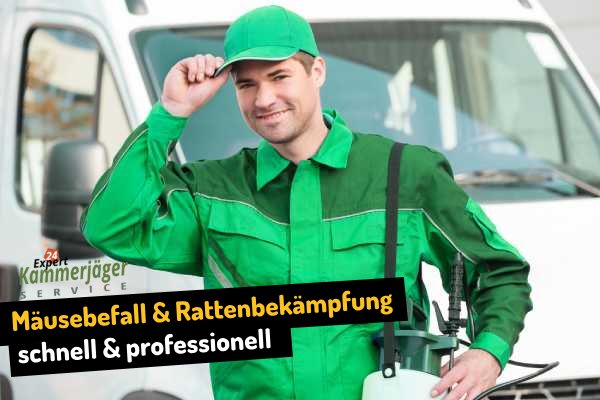 Mäusebefall und Rattenabwehr in Karstädt