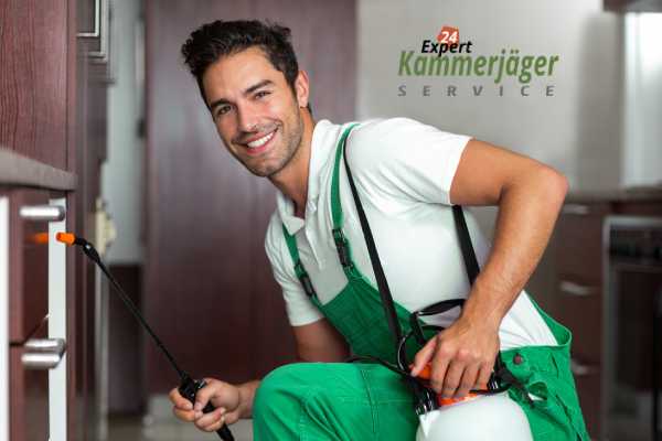 Kammerjäger in Anning im Einsatz bei fachgerechter Schädlingsbekämpfung