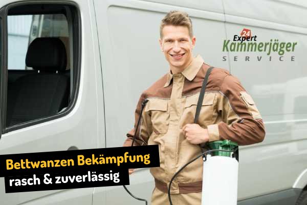Bettwanzen entfernen Wittelshofen