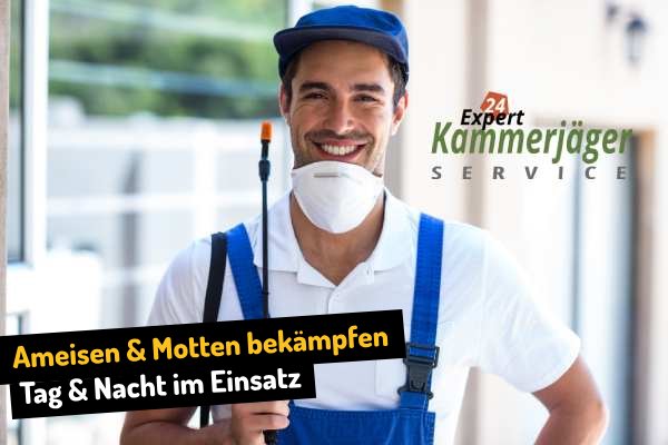 Ameisen und Motten bekämpfen in Dillenburg