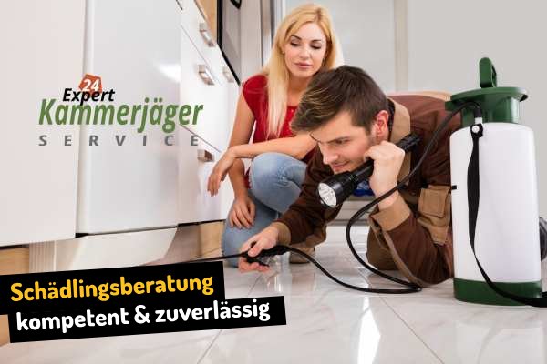 {Beratung} und Prävention gegen Schädlinge in Süstedt
