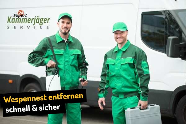 Bekämpfung von Wespen und Wespennest beseitigen in Breidenbach